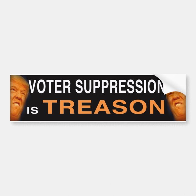 Voter Suppression Bumper Sticker (Front)