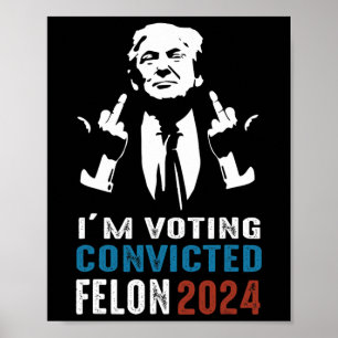 Voting Convicted Felon 2024  Poster