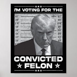 Voting Convicted Felon 2024 - Trump 2024 Convicted Poster