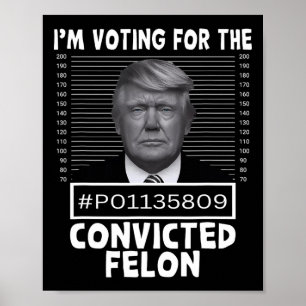 Voting For The Convicted Felon Trump Mugshot Pro T Poster