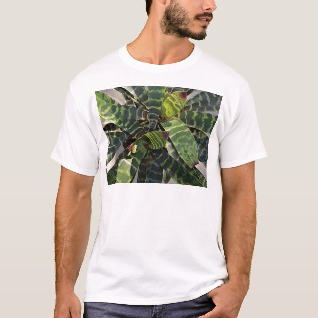 Vriesea Splendens Bromeliad Plant Striped Leaves T-Shirt (Front)
