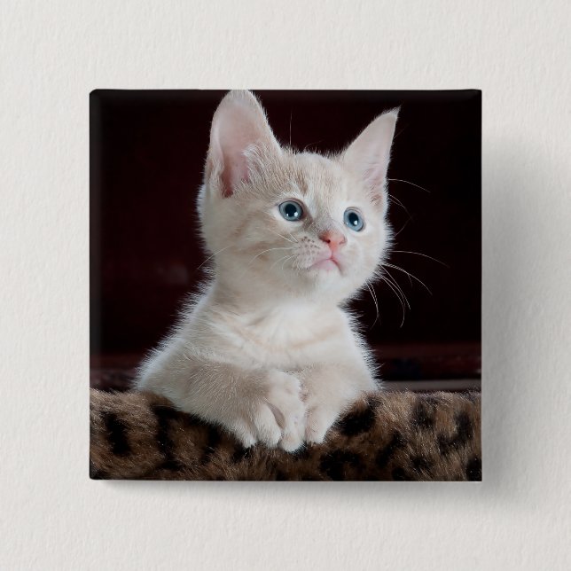 Vulnerable White Kitten 15 Cm Square Badge (Front)