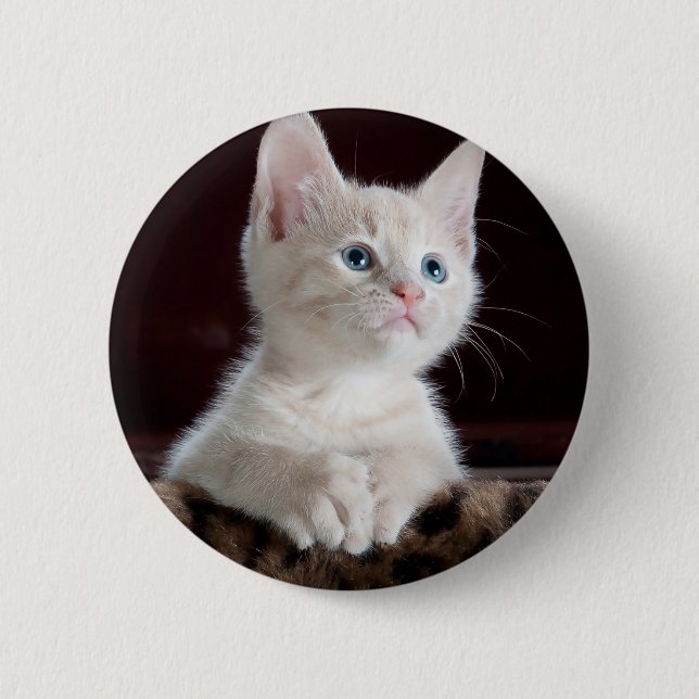 Vulnerable White Kitten 6 Cm Round Badge (Front)