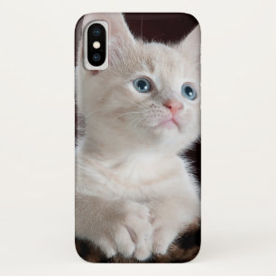 Vulnerable White Kitten Case-Mate iPhone Case