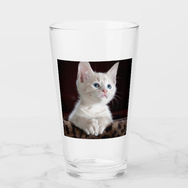 Vulnerable White Kitten Glass (Front)