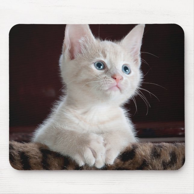 Vulnerable White Kitten Mouse Pad (Front)