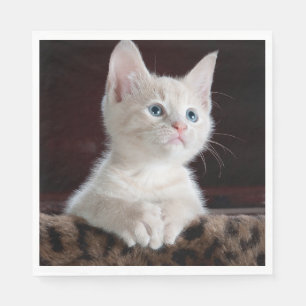 Vulnerable White Kitten Napkin