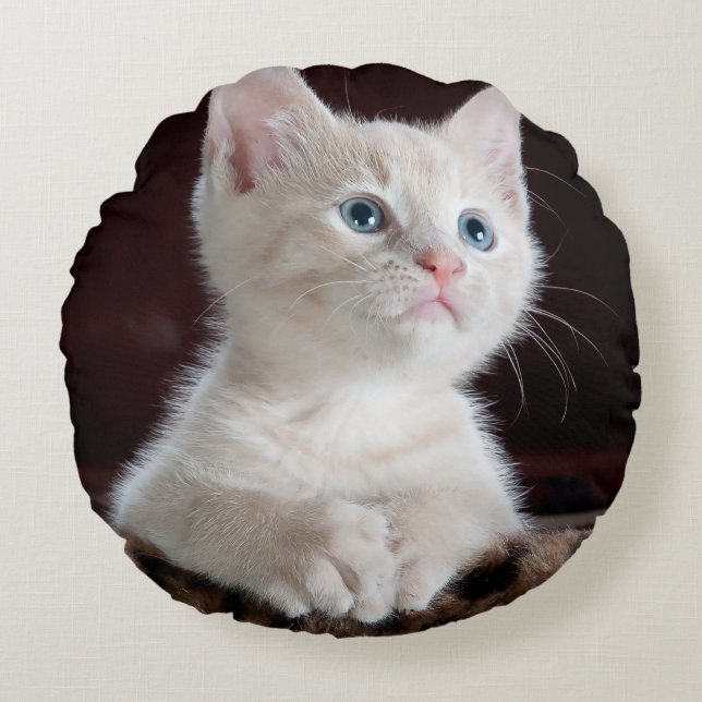 Vulnerable White Kitten Round Cushion (Front)
