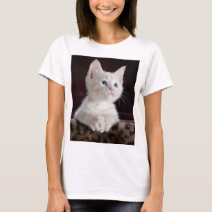 Vulnerable White Kitten T-Shirt