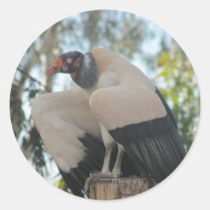 vulture classic round sticker