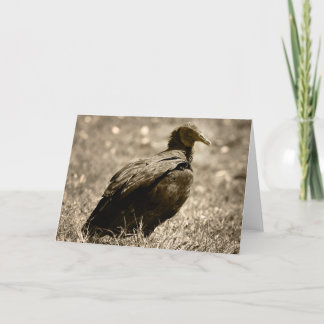 Vulture Customizeable Card