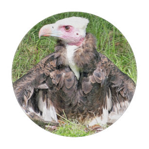VULTURE CUTTING BOARD