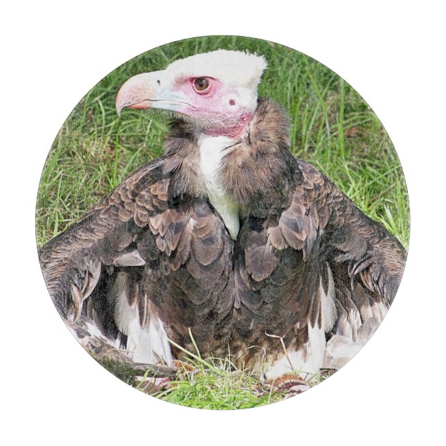 VULTURE CUTTING BOARD (Front)