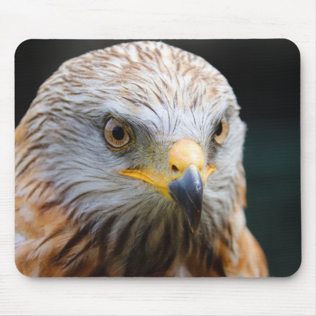 vulture, desert vulture, bird mouse pad (Front)