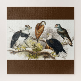 vulture  jigsaw puzzle