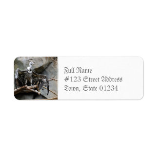 Vulture Mailing Labels
