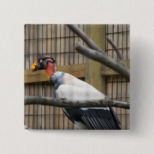Vulture Photography 15 Cm Square Badge