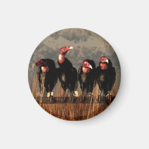 Vulture Quartet Magnet