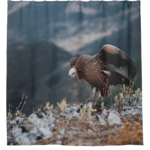 VULTURE SHOWER CURTAIN