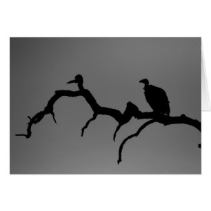 Vulture Silhouette