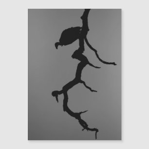 Vulture Silhouette