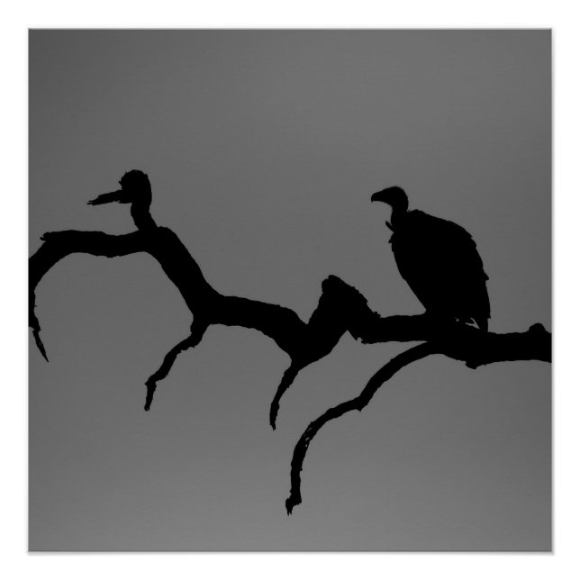 Vulture Silhouette Poster (Front)