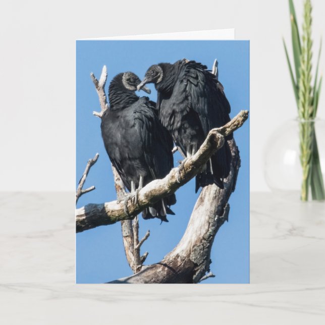Vulture Valentine Folded Holiday Card (Front)