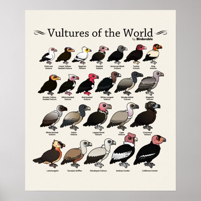 Vultures of the World by Birdorable Poster (Front)
