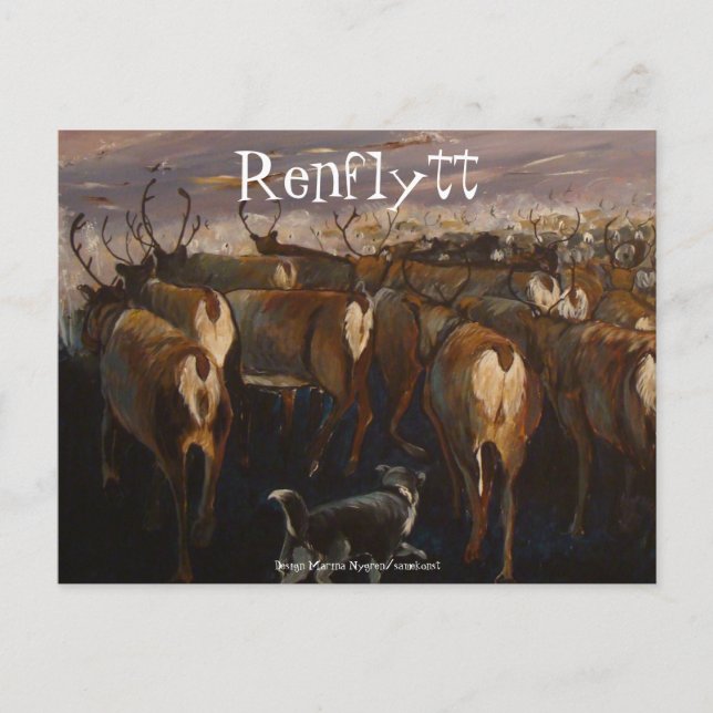 Vykort med samisk design postcard (Front)