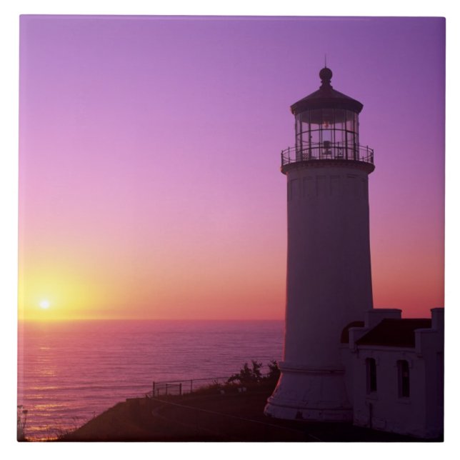 WA, Cape Disappointment State Park, North Head 2 Tile (Front)