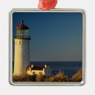 WA, Cape Disappointment State Park, North Head Metal Tree Decoration