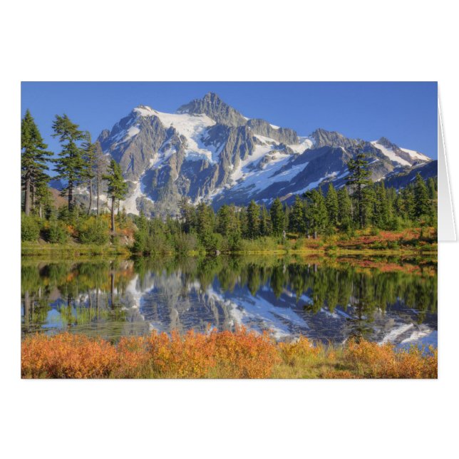 WA, Heather Meadows Recreation Area, Mt. (Front Horizontal)