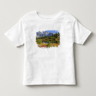 WA, Heather Meadows Recreation Area, Mt. 2 Toddler T-Shirt