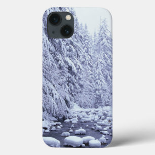 WA, Mount Baker-Snoqualmie National Forest, iPhone 13 Case