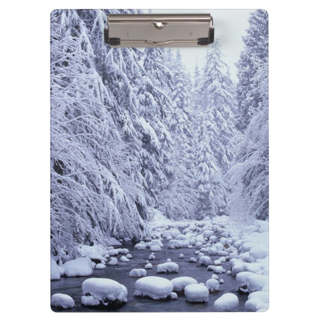 WA, Mount Baker-Snoqualmie National Forest, Clipboard (Front)