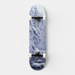 WA, Mount Baker-Snoqualmie National Forest, Skateboard
