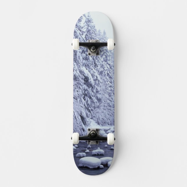 WA, Mount Baker-Snoqualmie National Forest, Skateboard (Front)