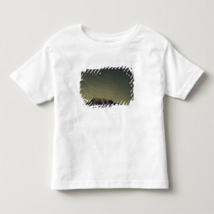 WA, Mount Rainier National Park, Mount Rainier, Toddler T-Shirt