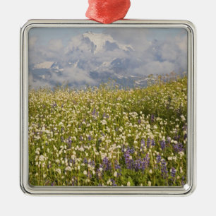 WA, Mt. Baker Wilderness, Mt. Shuksan and Metal Tree Decoration
