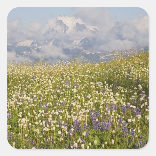 WA, Mt. Baker Wilderness, Mt. Shuksan and Square Sticker (Front)
