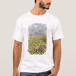WA, Mt. Baker Wilderness, Mt. Shuksan and T-Shirt