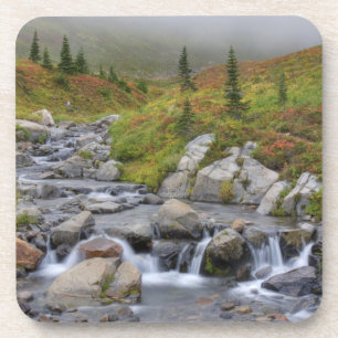 WA, Mt. Rainier National Park, Edith Creek Coaster