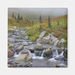 WA, Mt. Rainier National Park, Edith Creek Magnet