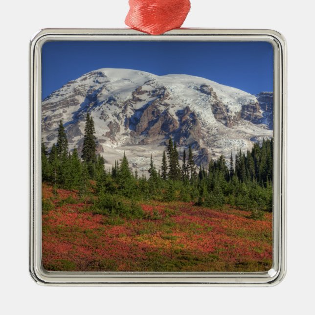 WA, Mt. Rainier National Park, Paradise Valley Metal Tree Decoration (Front)