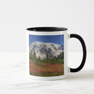 WA, Mt. Rainier National Park, Paradise Valley Mug