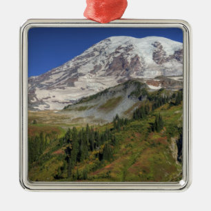 WA, Mt. Rainier National Park, view from the Metal Tree Decoration