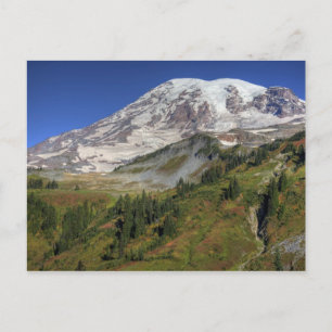 WA, Mt. Rainier National Park, view from the Postcard