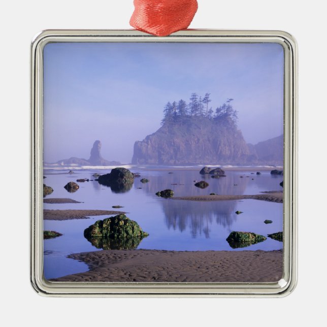 WA, Olympic National Park, Second Beach, Metal Tree Decoration (Front)