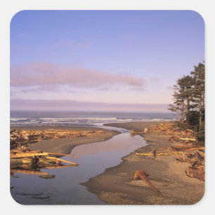 WA, Olympic NP, Kalaloch Beach and Kalaloch Square Sticker
