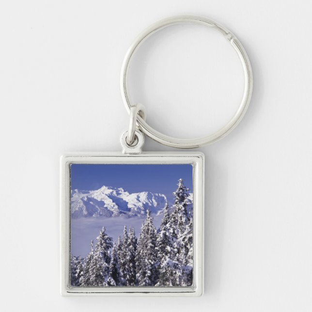 WA, Olympic NP, Olympic Mountain Range, view Key Ring (Front)